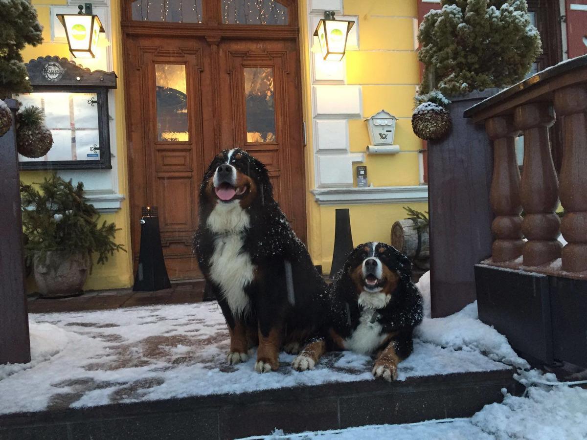 Hotel Gasthof Post Fusch an der Glocknerstraße Exteriér fotografie